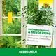 Neudorff Gelbtafeln (kleinformatig) Früherkennung