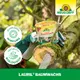 Neudorff Lauril Baumwachs Eigenschaften