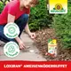 Neudorff Loxiran Ameisenköder-Buffet Eigenschaften