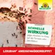 Neudorff Loxiran Ameisenköder-Buffet schnelle Wirkung