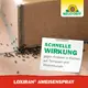 Neudorff Loxiran AmeisenSpray schnelle Wirkung
