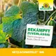 Neudorff Netz-Schwefelit WG zuverlässige Wirkung