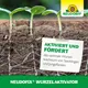 Neudorff Neudofix WurzelAktivator Wurzelwachstum