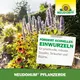 Neudorff NeudoHum Pflanzerde 40 L Einwurzeln