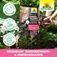 Neudorff NeudoHum Rhododendron- & HortensienErde Eigenschaften