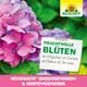 Neudorff NeudoHum Rhododendron- & HortensienErde prachtvolle Blüten