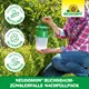 Neudorff Neudomon Buchsbaumzünslerfalle Nachfüllpack Eigenschaften