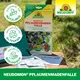 Neudorff Neudomon Pflaumenmadenfalle Eigenschaften