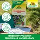 Neudorff Neudomon Pflaumenmadenfalle Nachrüstset Eigenschaften
