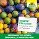 Neudorff Neudomon Pflaumenmadenfalle Nachrüstset insektizidfrei