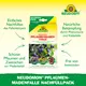 Neudorff Neudomon Pflaumenmadenfalle Nachrüstset Vorteile