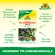 Neudorff Neudomon Pflaumenmadenfalle Vorteile