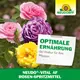 Neudorff Neudovital AF Rosenspritzmittel optimale Ernährung