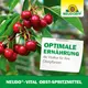 Neudorff Neudo-Vital Obst-Spritzmittel optimale Ernährung
