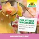 Neudorff OrchideenPflege vitales Wachstum