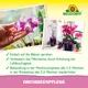 Neudorff OrchideenPflege Wirkung