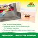 Neudorff Permanent UngezieferEisSpray Anwendung