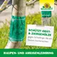 Neudorff Raupen- und AmeisenLeimring für Obst- und Ziergehölze