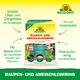 Neudorff Raupen- und AmeisenLeimring Vorteile