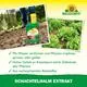 Neudorff Schachtelhalm Extrakt