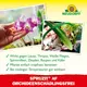 Neudorff Spruzit AF Orchideen Schädlingsfrei 250 ml Wirkung