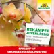 Neudorff Spruzit AF Orchideen Schädlingsfrei 250 ml zuverlässige Wirkung