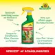 Neudorff Spruzit AF Schädlingsfrei Vorteile