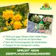 Neudorff Spruzit NEEM ZierpflanzenSchädlingsfrei Wirkung