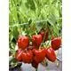Reinsaat Paprika Quadrato d´Asti rosso Saatgut Erfahrungen Reinsaat Paprika Quadrato d´Asti rosso Saatgut Erfahrungen