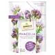 ReNatura Phacelia