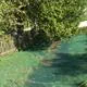 Laubschutz-Netz für den Teich Anwendung