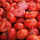 Reinsaat Tomate Marmande