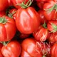 Reinsaat Ochsenherztomate Liguria