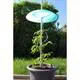 Tomatenhut-Basis-Set