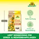 Neudorff Azet DüngeSticks für Zitrus- und Mediterranpflanzen