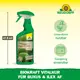 Neudorff Biokraft Vitalkur für Buxus und Ilex AF Vorteile