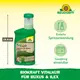 Neudorff BioKraft Vitalkur für Buxus + Ilex Vorteile