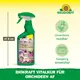 Neudorff Biokraft Vitalkur für Orchideen AF Vorteile