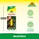 Neudorff Gelbtafeln (kleinformatig) Vorteile
