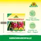 Neudorff Kirschmadenfallen Vorteile