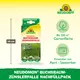 Neudorff Neudomon Buchsbaumzünslerfalle Nachfüllpack Vorteile