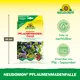 Neudorff Neudomon Pflaumenmadenfalle Vorteile