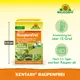 Neudorff RaupenFrei Xentari Vorteile