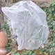Winterschutz Rosenhaube 2er-Pack Erfahrungen Winterschutz Rosenhaube 2er-Pack Erfahrungen