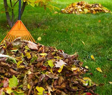 Rasenpflege Herbst