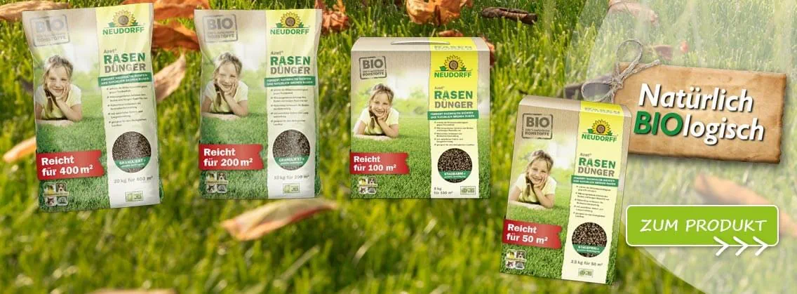 Neudorff Azet HerbstRasenDünger