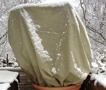 Pflanzen Winterschutz